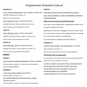 XXIX programa Diciembre Cultural (2020)6