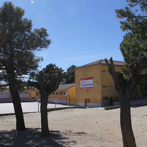 Colegio Público Pico de la Miel