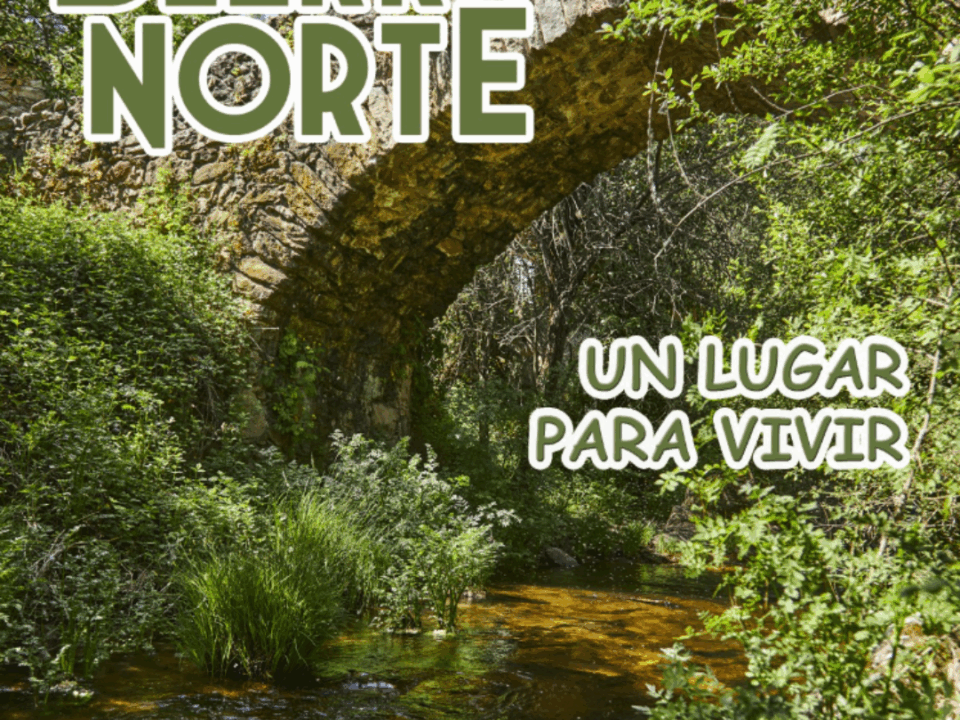 Feria Sierra Norte 2025