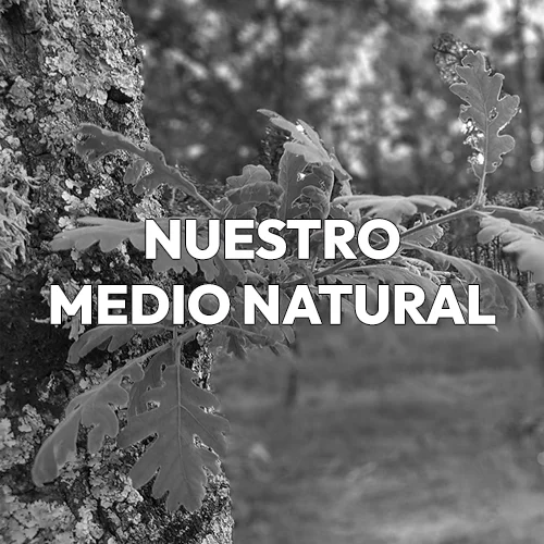 medio_natural_menu_HOVER
