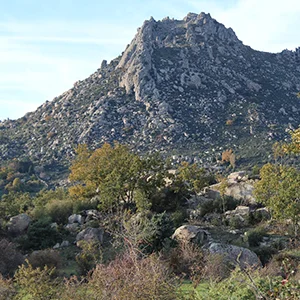 patrimonio_la_cabrera_yacimiento_seccion